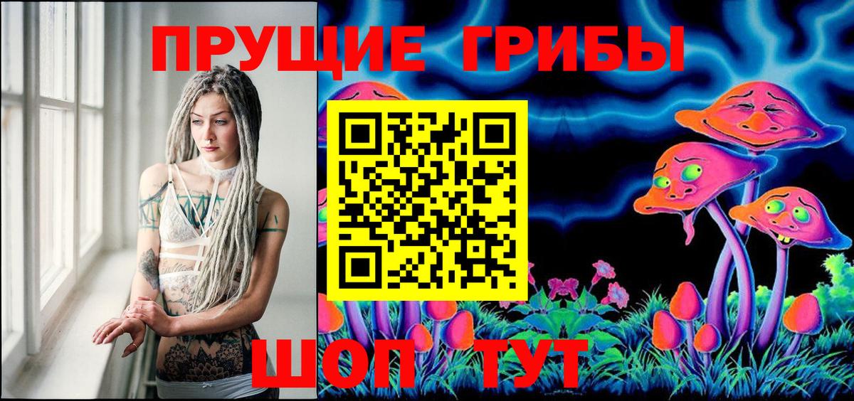 Кизляр  Псилоцибиновые грибы Magic Shrooms  Вход с VPN 