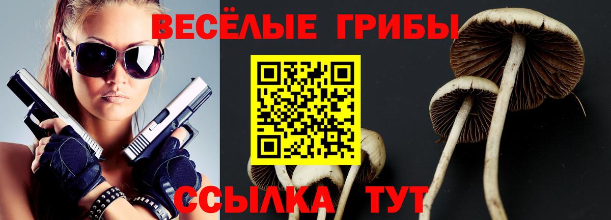 Псилоцибиновые грибы мицелий Кизляр